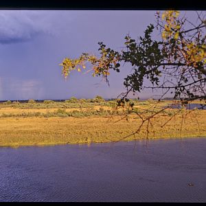 Kwando River Namibia