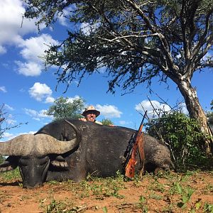 Buffalo Hunting South Africa