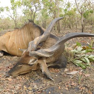 Cameroon Hunt Lord Derby Eland