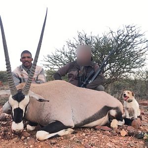 Gemsbok Hunt South Africa