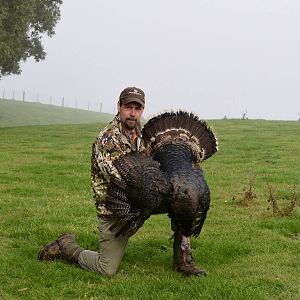 New Zealand WIng Shooting Merriams Wild Turkey