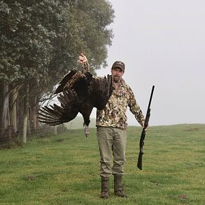 New Zealand Wing Shooting Turkey