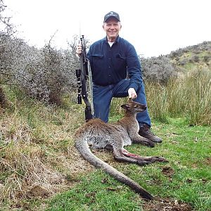 Wallaby Hunting New Zealand