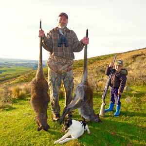 New Zealand Wallaby Hunting