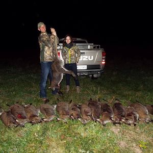 New Zealand Cull Hunt Wallaby