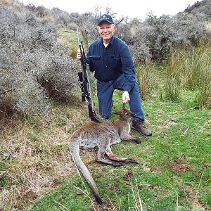 Hunt Wallaby New Zealand