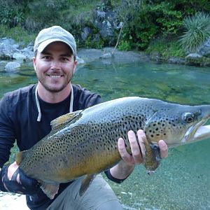 Brown Trout Fly Fishing New Zealand