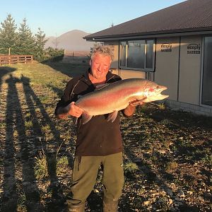 New Zealand Fly Fishing Rainbow Trout