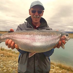 Rainbow Trout Fly Fishing New Zealand