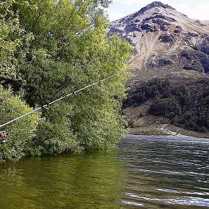 Fly Fishing in New Zealand