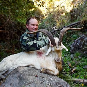 Hunting Alpine Goat in New Zealand