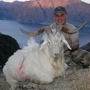 New Zealand Hunt Alpine Goat