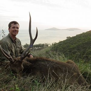 New Zealand Hunting Rusa Deer