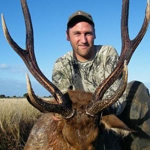 Hunting Rusa Deer in New Zealand