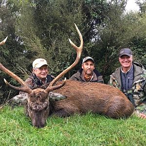 Sika Deer Hunt New Zealand