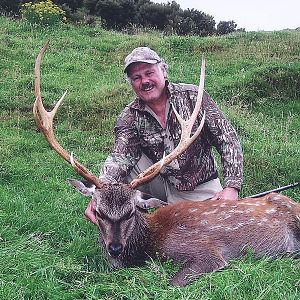 Hunting Sika Deer New Zealand