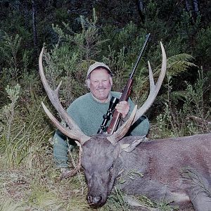 New Zealand Hunting Sambar Deer