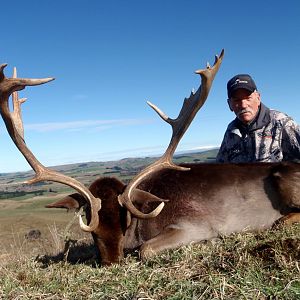 Hunting 18 Point Fallow Deer in New Zealand