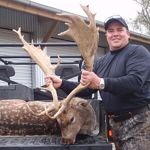 Hunting Fallow Deer in New Zealand