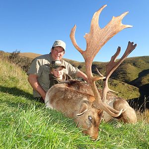 New Zealand Hunt Fallow Deer