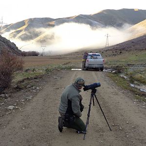 Hunting Fallow Deer in New Zealand