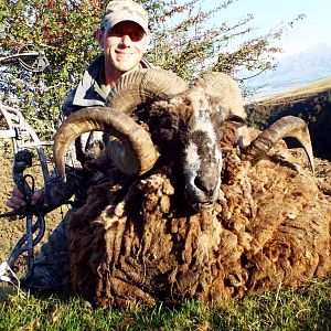 Bow Hunt Arapawa Ram in New Zealand