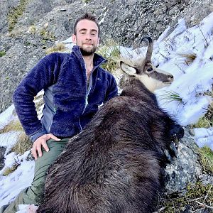 Alpine Chamois Hunt New Zealand