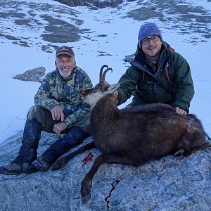 New Zealand Hunt Alpine Chamois