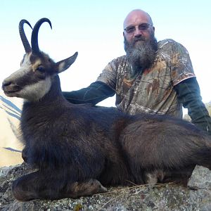 Alpine Chamois Hunt New Zealand