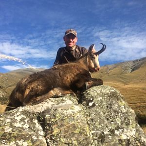 New Zealand Hunt Alpine Chamois