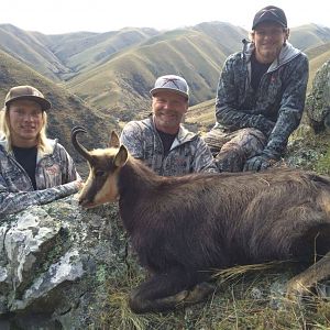 New Zealand Hunting Alpine Chamois