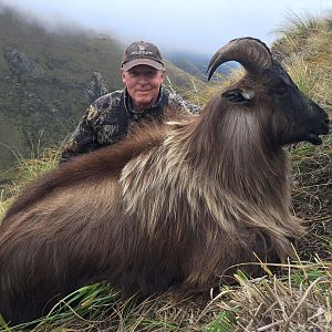 Hunting Tahr in New Zealand