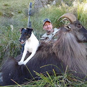 Hunt Tahr in New Zealand