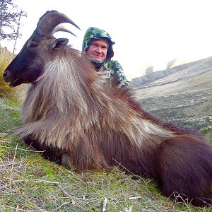 New Zealand Hunting Tahr