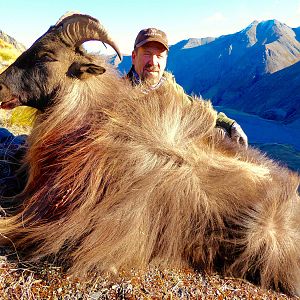 Hunting Tahr in New Zealand