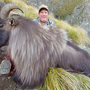 New Zealand Hunt Tahr