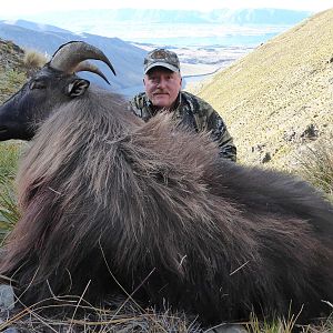 Tahr Hunting New Zealand