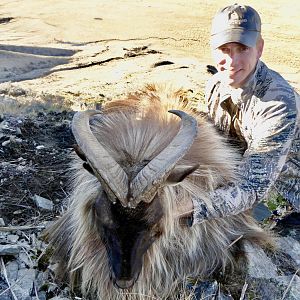 Tahr Hunt New Zealand