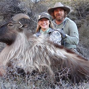 Hunt Tahr in New Zealand