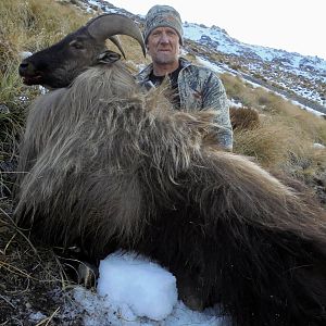 New Zealand Hunting Tahr