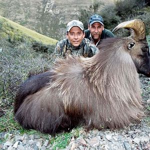 Tahr Hunt New Zealand