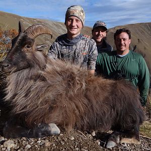 Hunting Tahr in New Zealand