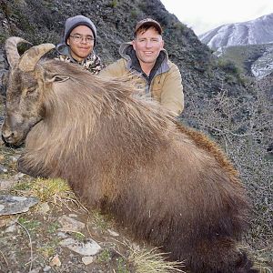 Hunt Tahr in New Zealand