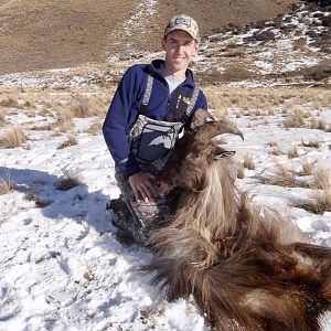 Tahr Hunt New Zealand