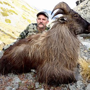 New Zealand Hunt 13" Inch Tahr