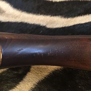 Model 70 Safari Express in 416 Rem Mag