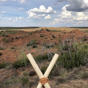 Practicing of Shooting Sticks