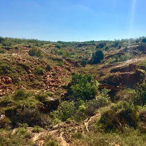 Hunting Terrain Texas USA