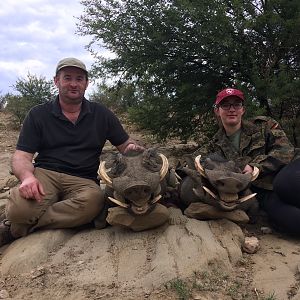 Hunt Warthog in Namibia