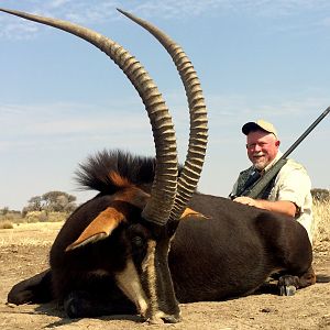 Sable Antelope Hunt South Africa